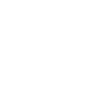 Project Management